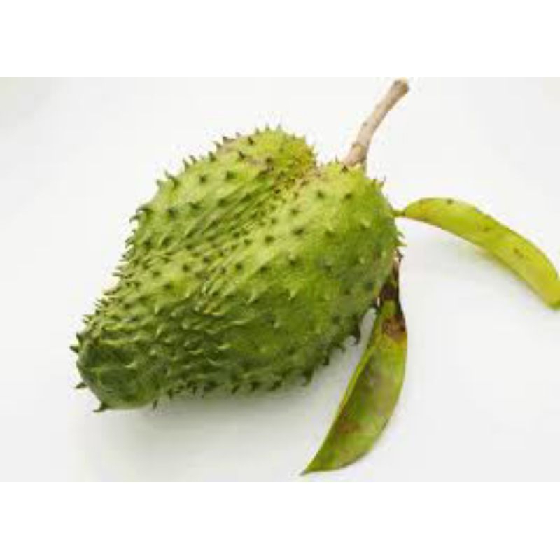 

BUAH SIRSAK FRESH FRUIT