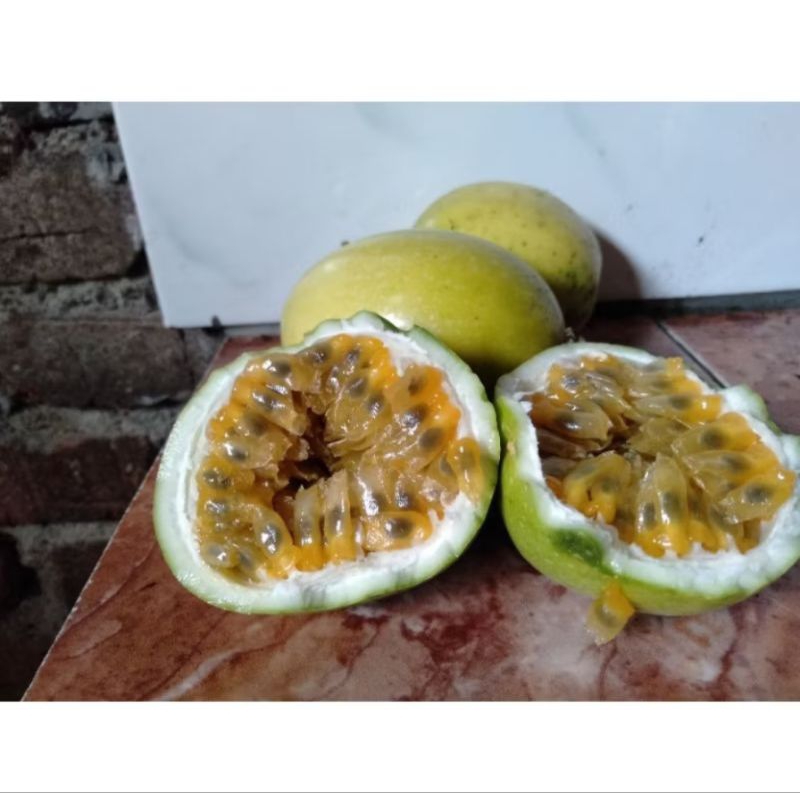 

BUAH MARKISA ASAM MANIS BUAH LANGKA 500 GRAM