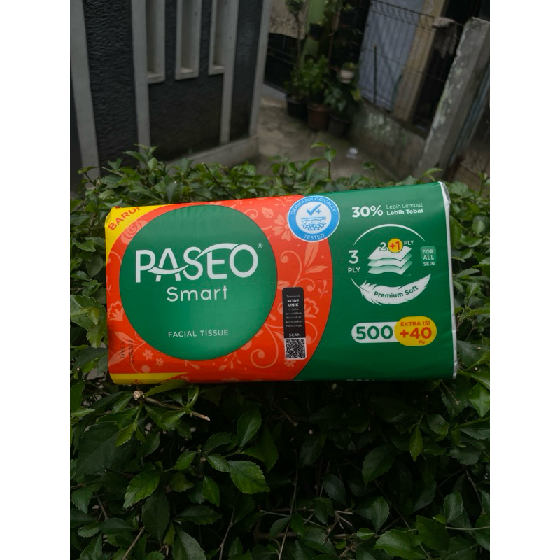 Tissue paseo 500+40