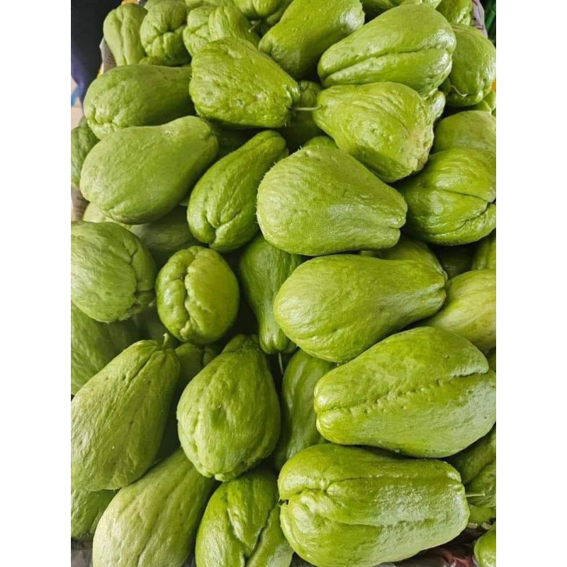 

labu Siem/labu besar muda 1pcs