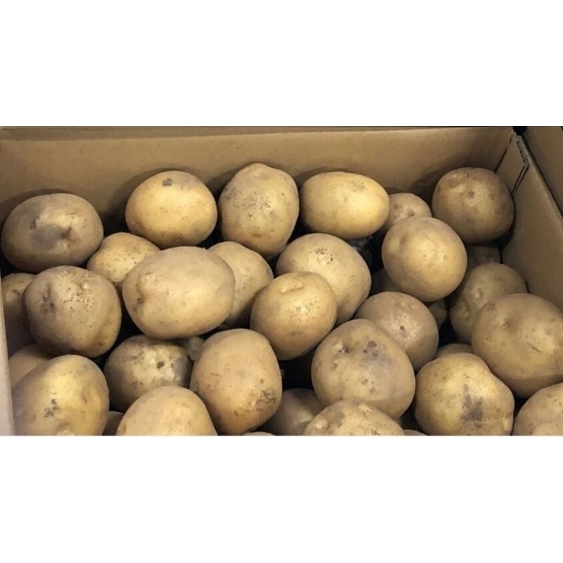 

Terlaris No.1 Kentang Super Segar [ Ukuran Kecil & Sedang 500 gr ]