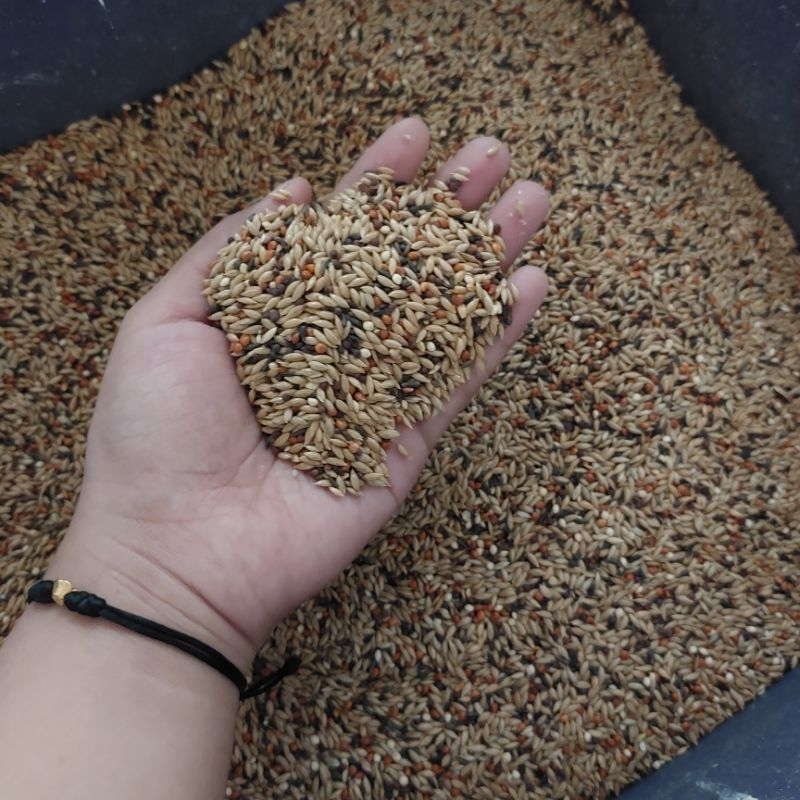 Pakan kenari mix kiloan