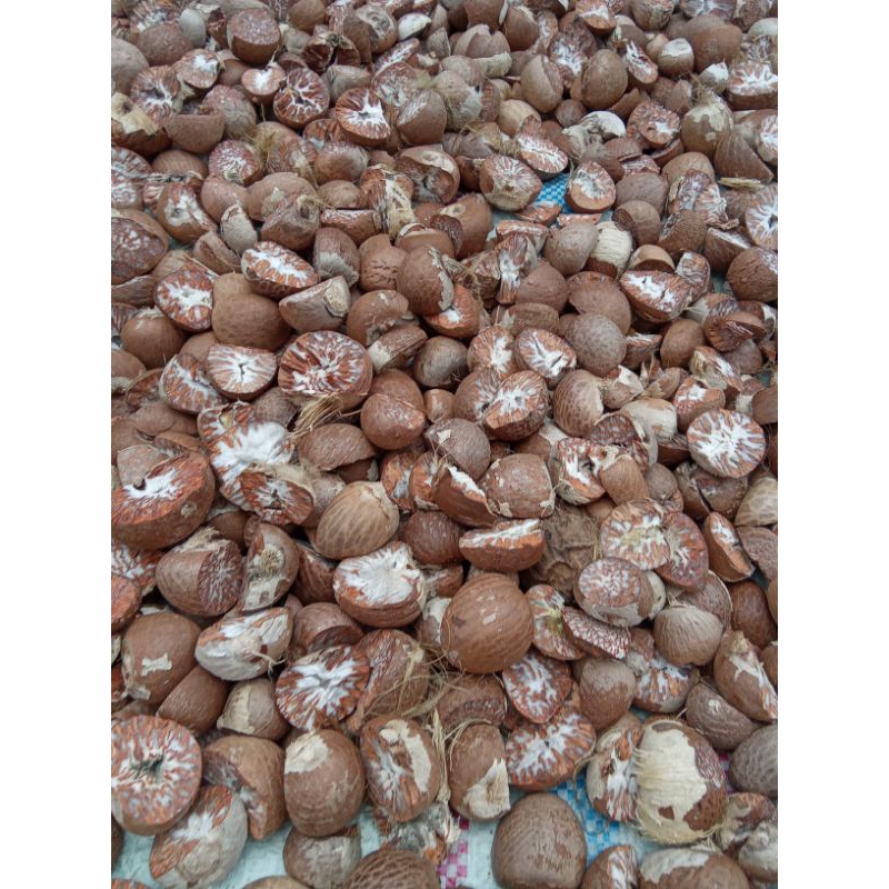 

pinang belah super kadar air 5%