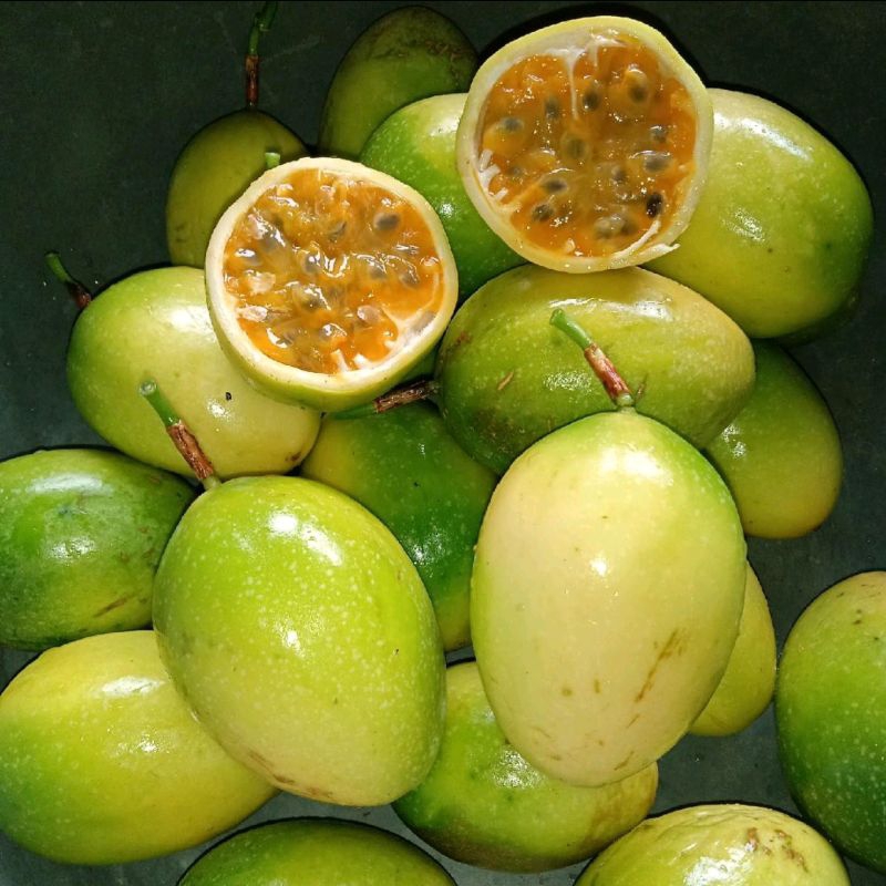 

Buah markisa atau konyal segar 500 gram