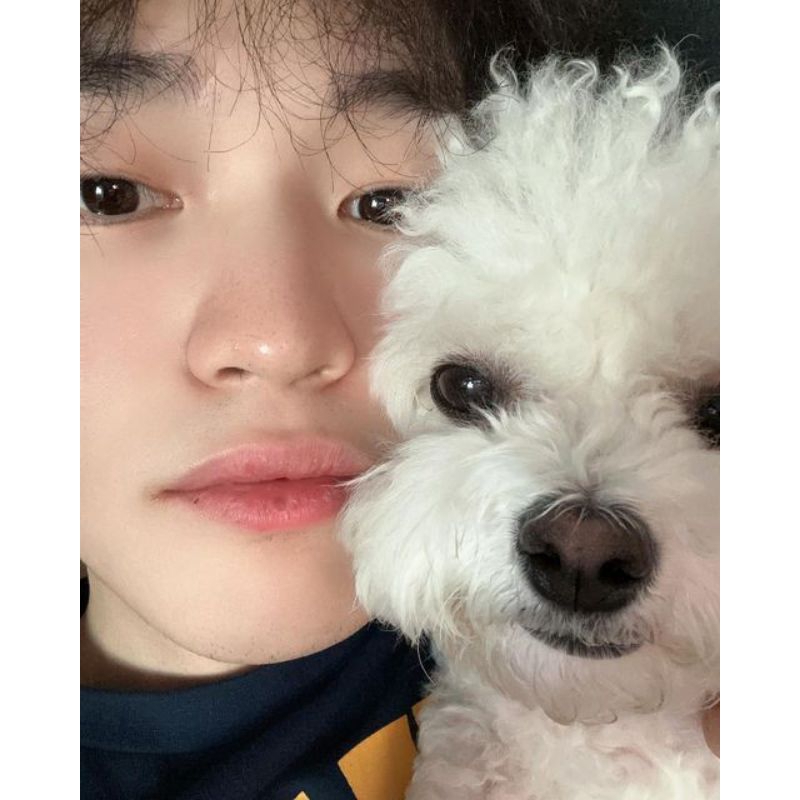 

chenle nct