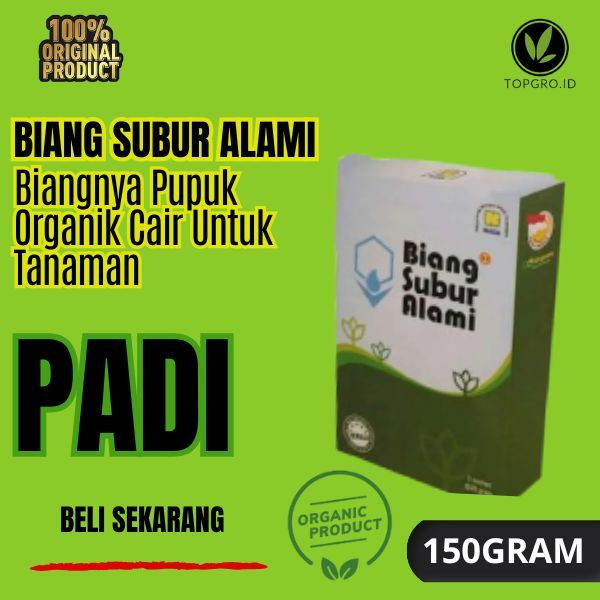 Biang Subur Alami Nasa / Pupuk Organik Untuk Tanaman Padi /Biangnya Pupuk Organik Cair Tanaman Nasa