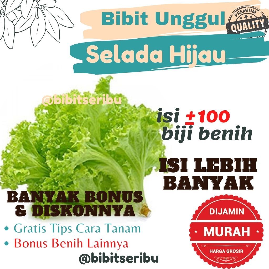 Bibit Selada Benih Sayuran dan Buah Siap Tanam Lengkap Bisa untuk Hidroponik