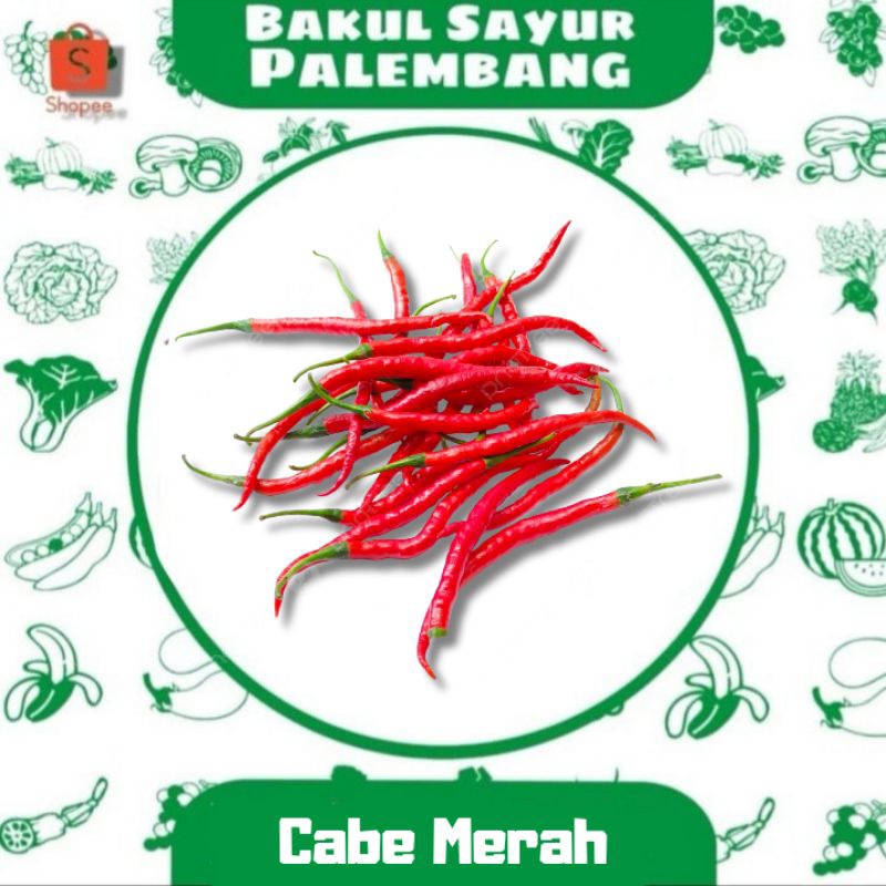 

Cabe Merah (PALEMBANG)