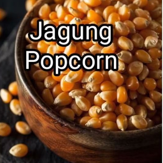 

Jagung Popcorn Mentah 250g