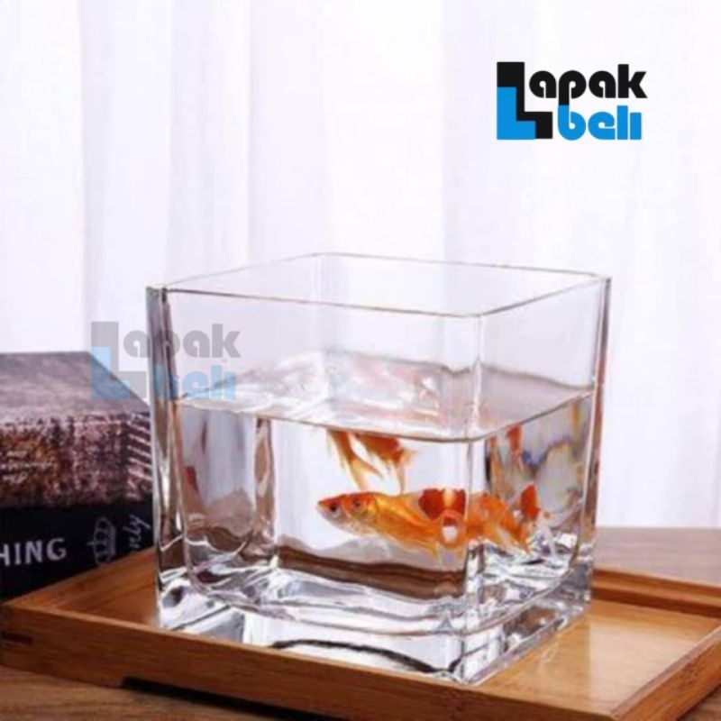 Akuarium Aquarium Mini Cupang dan Asesoris full set / Bisa untuk aquascape ( COD BAYAR DITEMPAT )