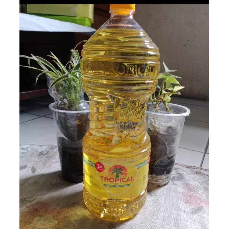 

Minyak Goreng Tropical 2 liter