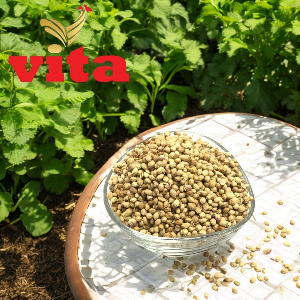 

Biji Ketumbar Coriander Kwalitas Pilihan Packing 1kg