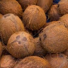 

Kelapa tua/biji