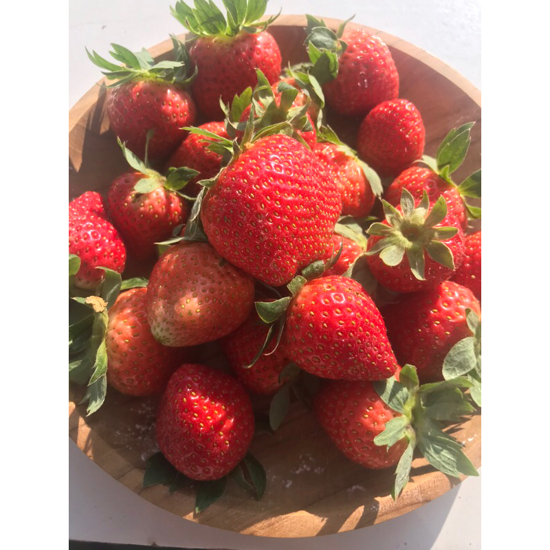 

Strawberry fresh mencir 250g