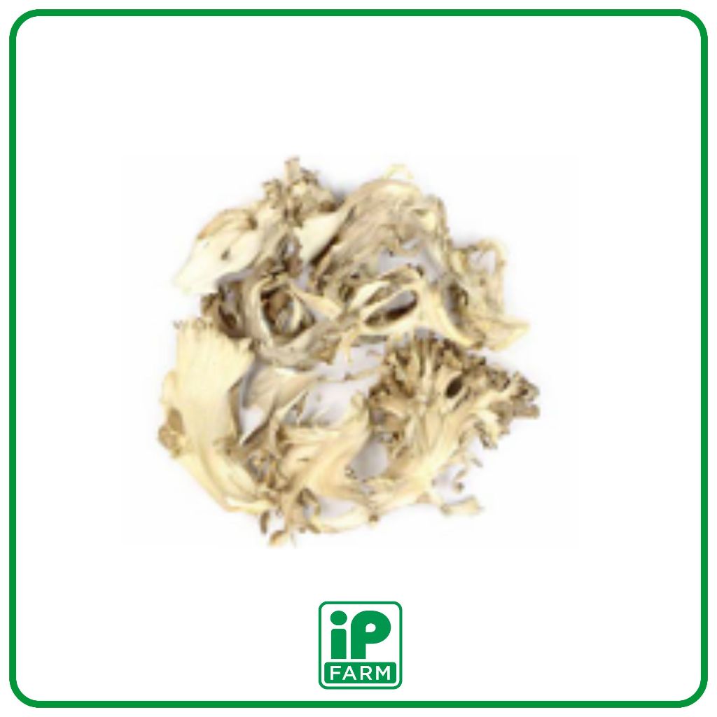

Dried Maitake | Maitake Kering 100gr | Maitake Premium