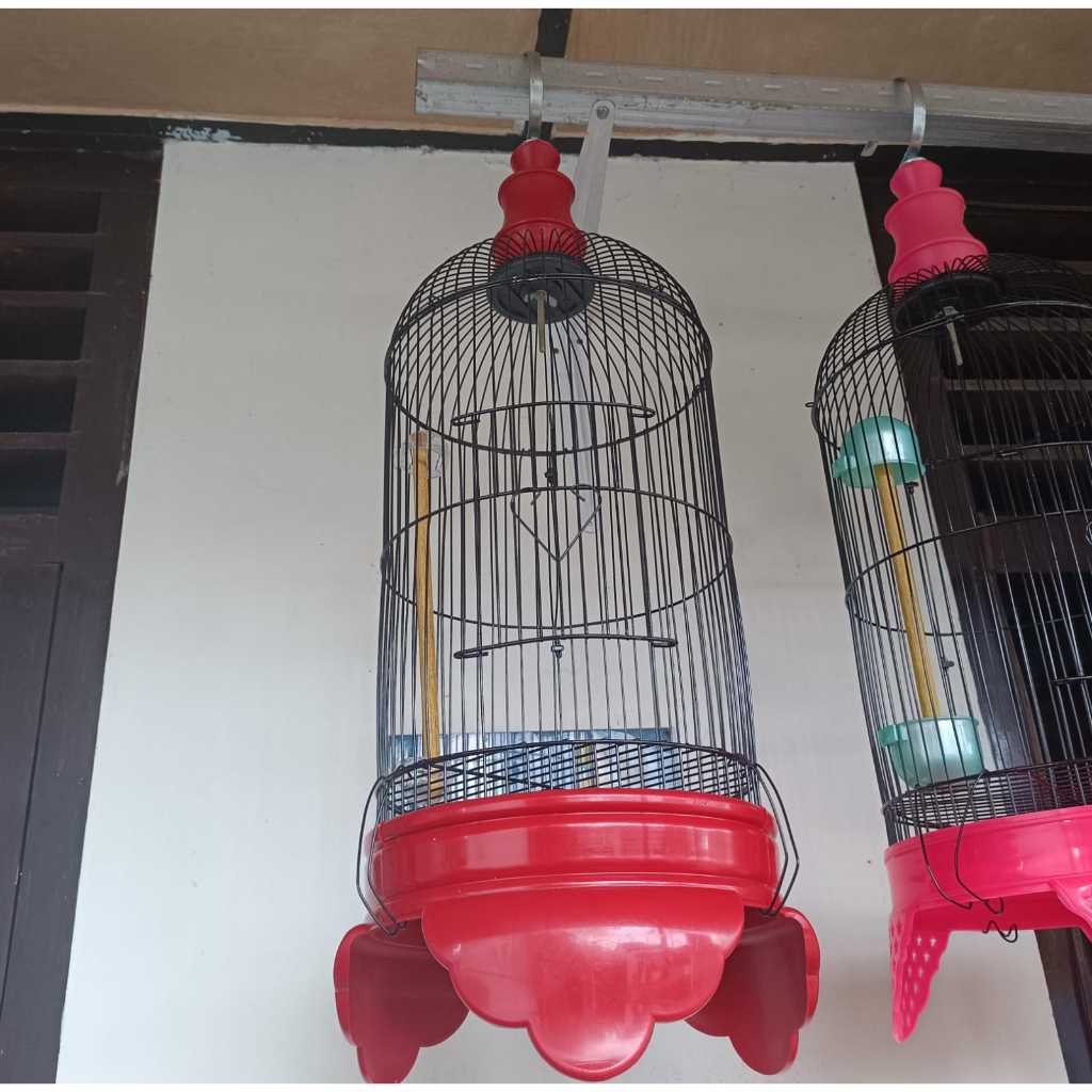 HELOPET PVC D23 T74 Sangkar Burung Kecil Warna Kandang Ram Besi Tebal Kenari LoveBird Pleci Perkutut