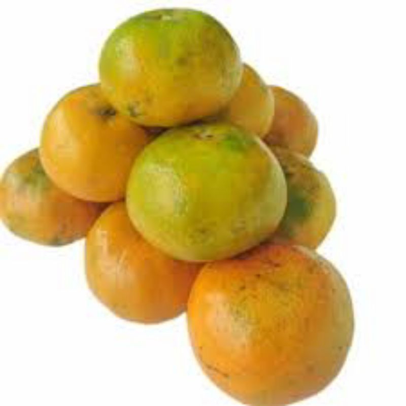 

Jeruk Madu Manis 1kg