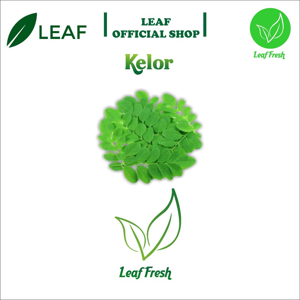 

DAUN KELOR BY LEAF FRESHH
