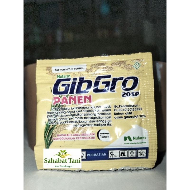 Gibgro Panen