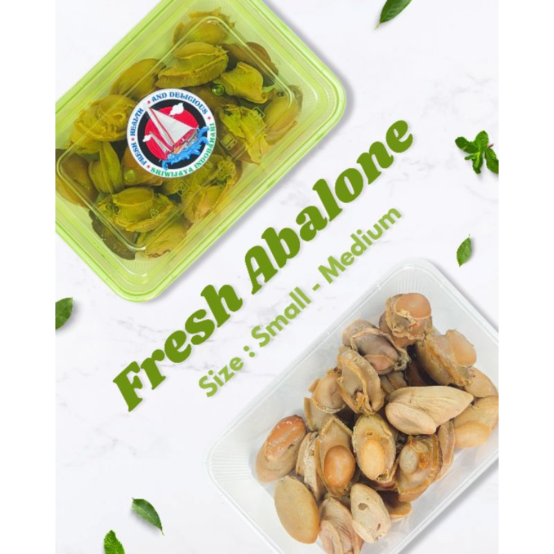 

Fresh Abalone (Small to Medium)