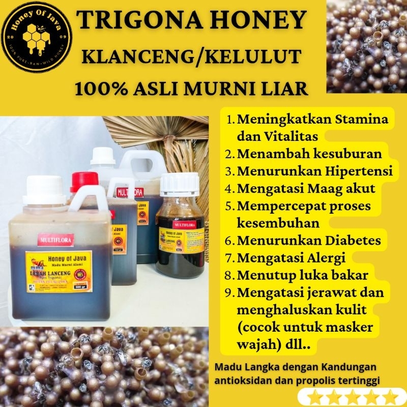 

Madu Trigona/Klanceng/Kelulut 100% Asli Murni Liar Mentah (Raw Honey) 1 Kg - Honey Of Java