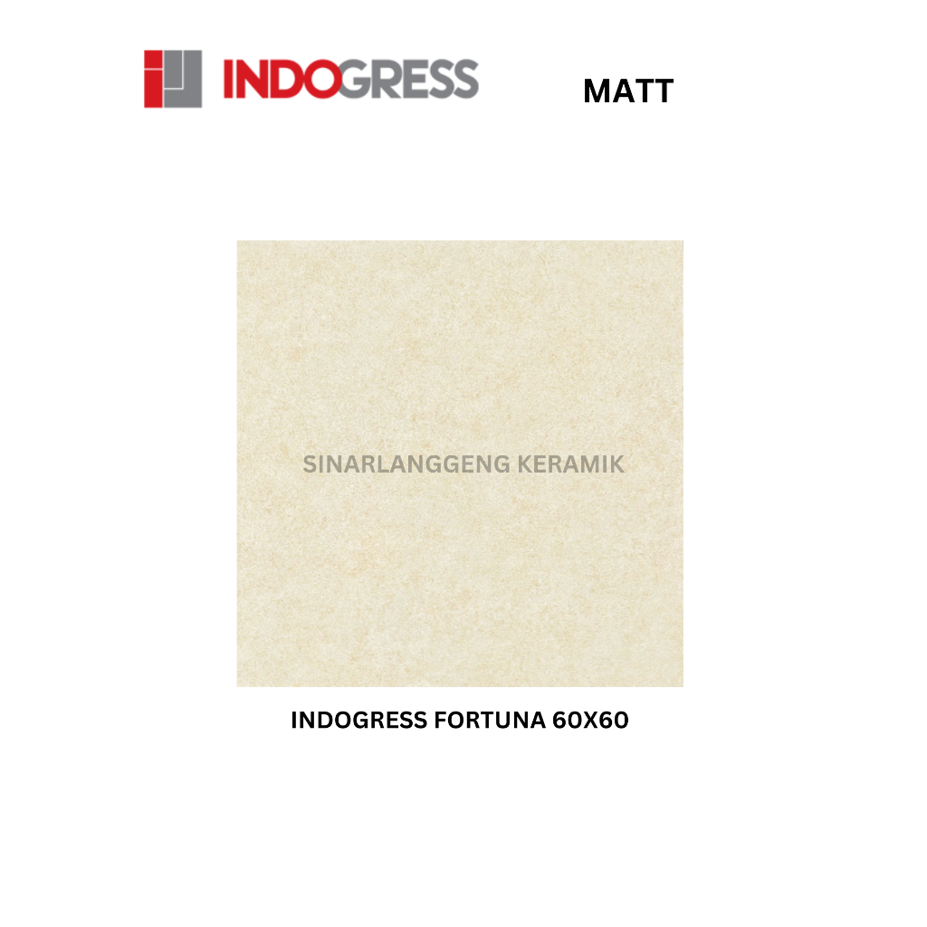 INDOGRESS FORTUNA 60X60 MATT