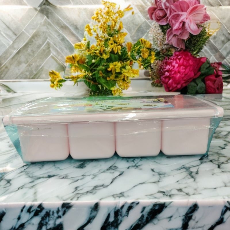 Tempat bumbu plastik 4 sekat + sendok | kotak bumbu 4 in 1 Free sendok