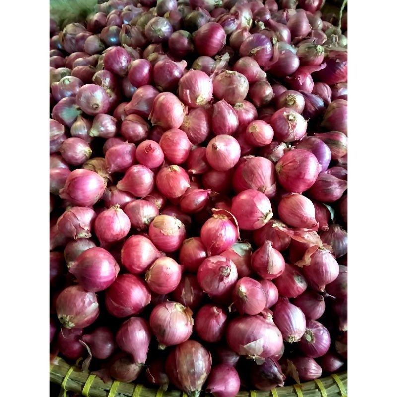 

bawang merah fresh 500gram