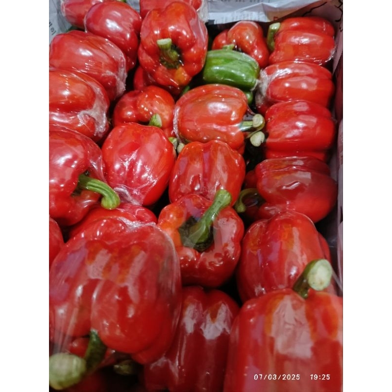

PAPRIKA MERAH 500 GRAM