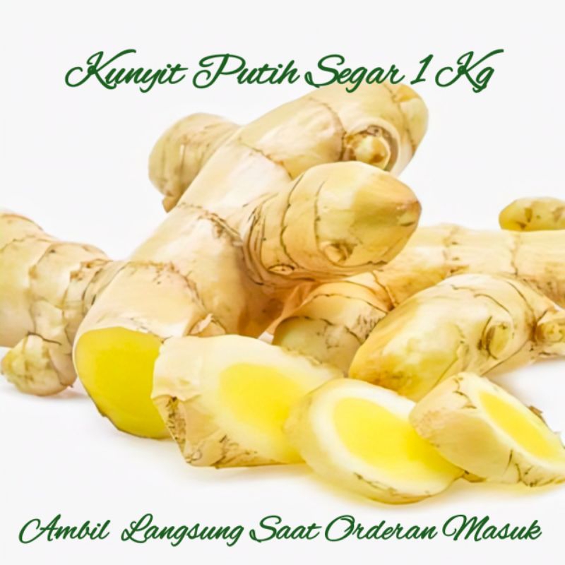 

Kunyit Putih Segar Dadakan Isi Per 500 Gram