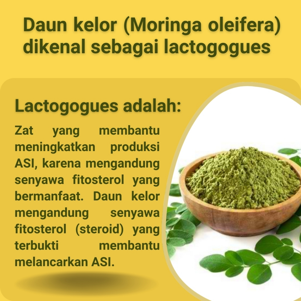 

Teh Kaudhawa F - Teh Kelor Premium Original Asupan Nutrisi Pelancar ASI Booster