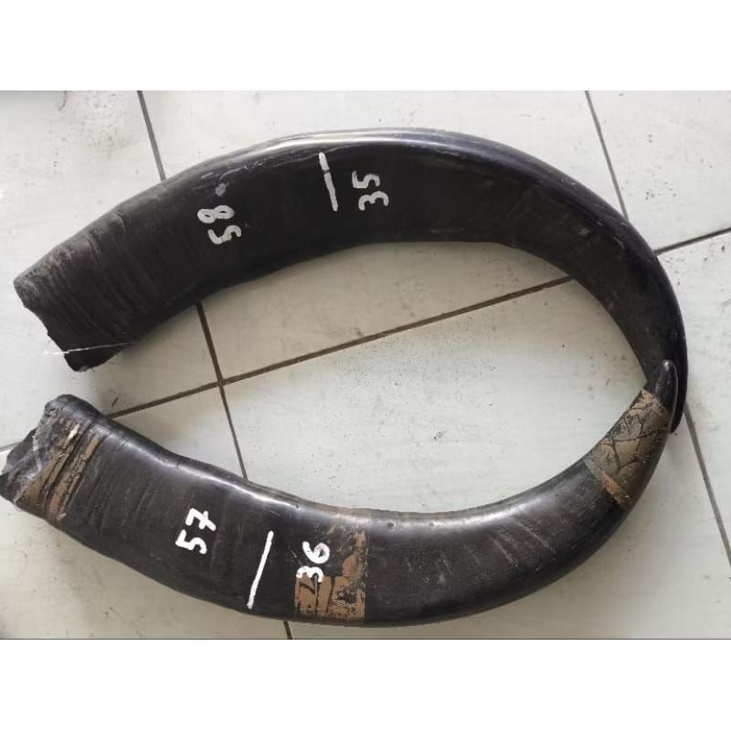 Tanduk kerbau padat 36cm - 43cm