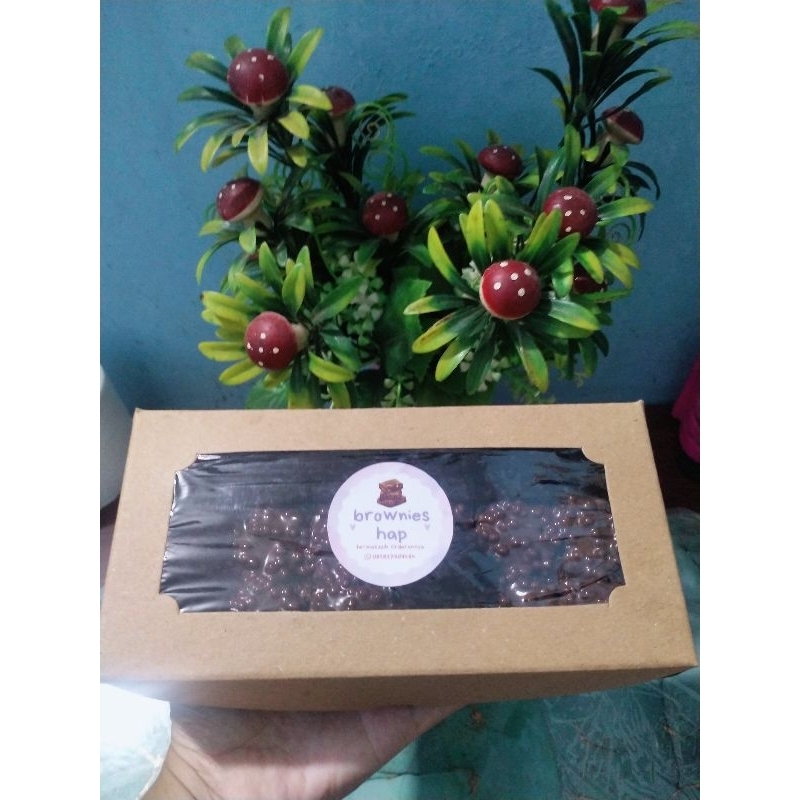 

fudgy brownies mini