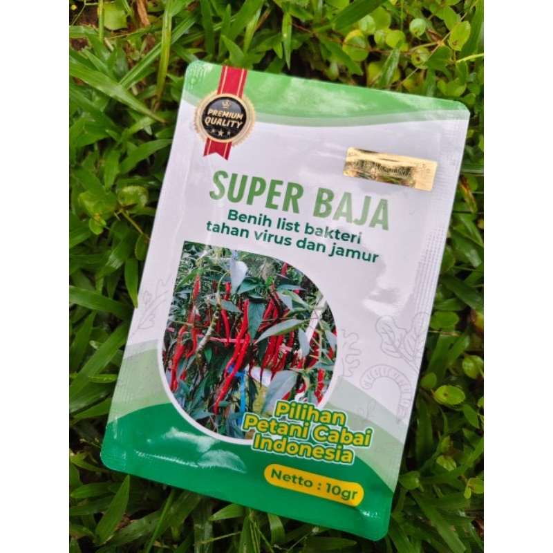 bibit cmk super baja darwin original 100% riau