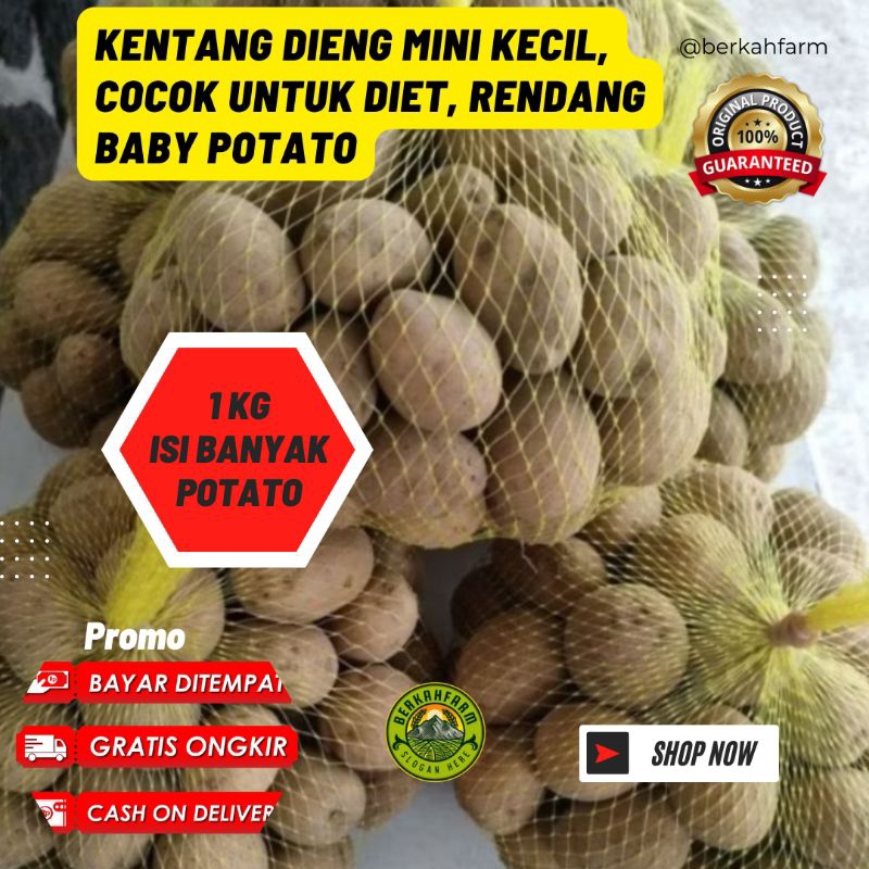 

kentang dieng mini kecil 1kg isi lebih banyak kualitas sama cocok untuk diet