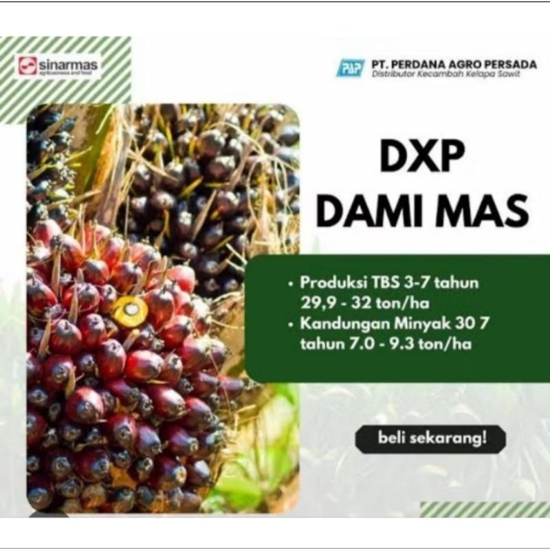 

DxP DAMI MAS