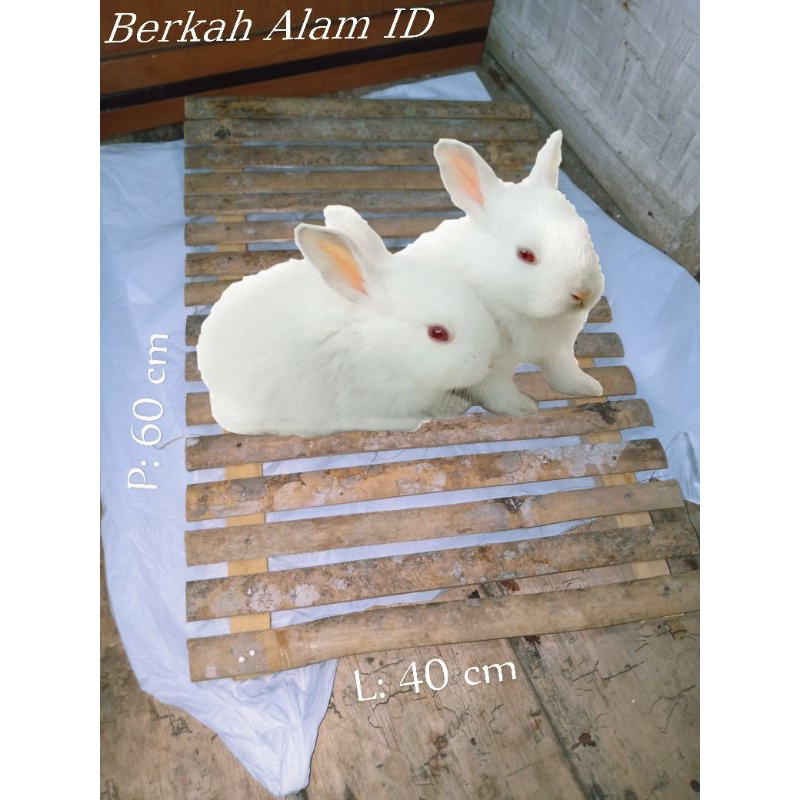 Alas Kandang kelinci foot rest Alas Kandang Kelinci Bambu size 60x40 / Alas kandang kelinci