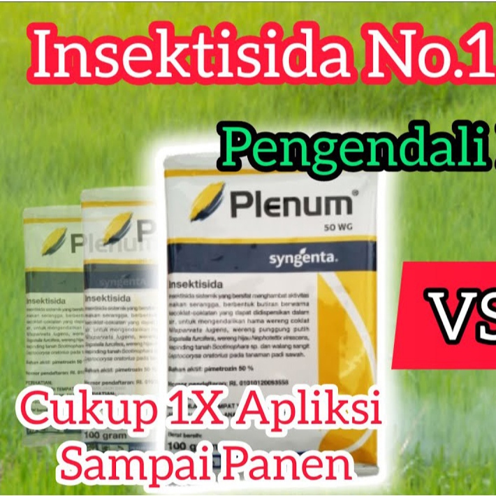 Plenum 50WG 100 GRAM Insektisida Obat Pembasmi Hama Wereng Tanaman
