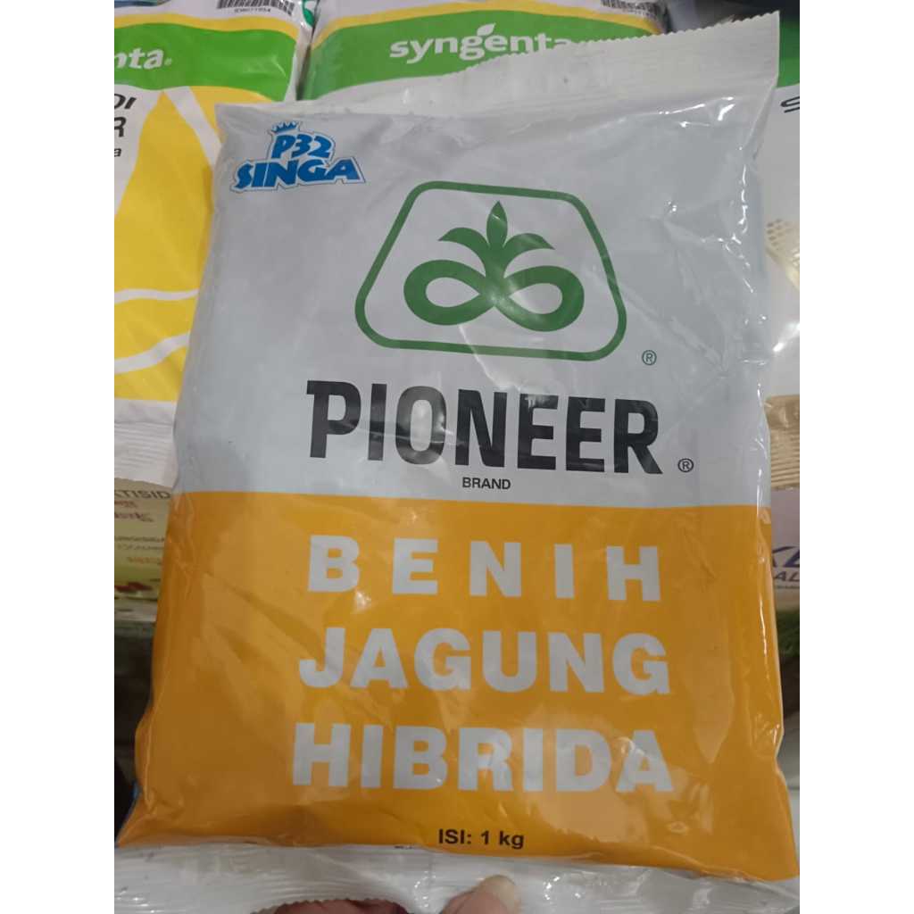 Benih Jagung Hibrida PIONEER P32 SINGA - 1 KG