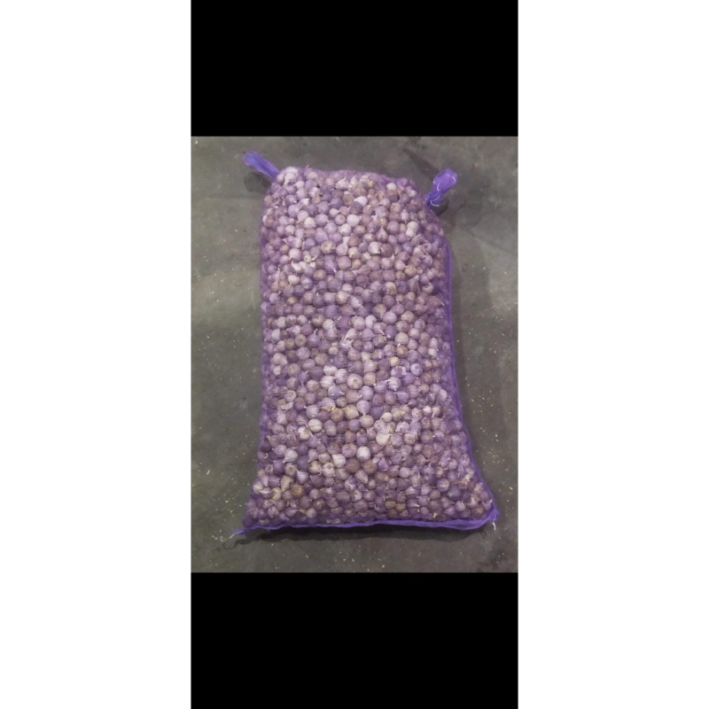

bawang putih tunggal atau bawang lanang uk 100g