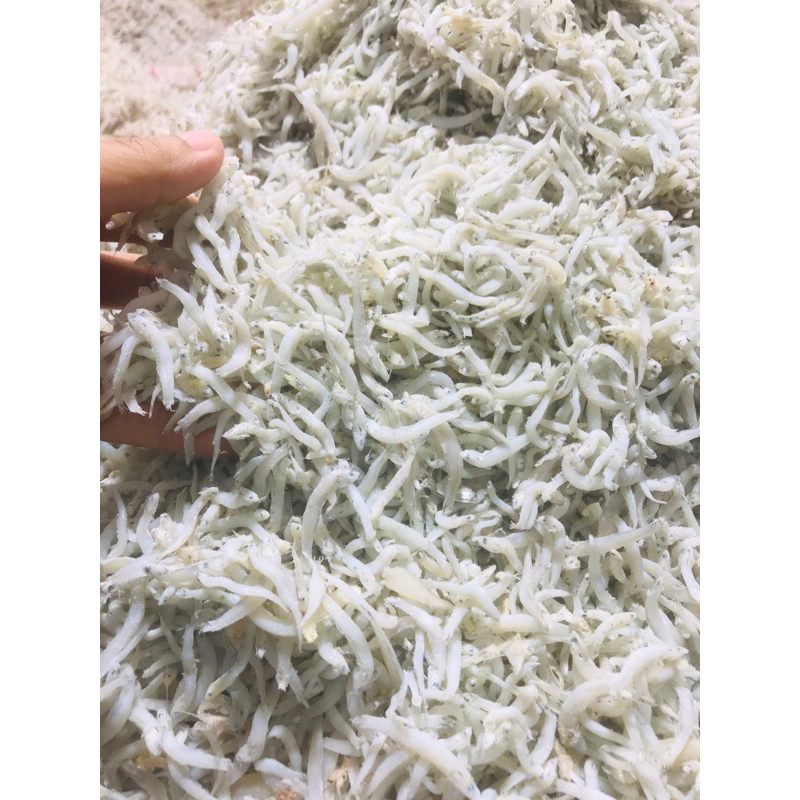 

Ikan teri toge/besar premium grade A