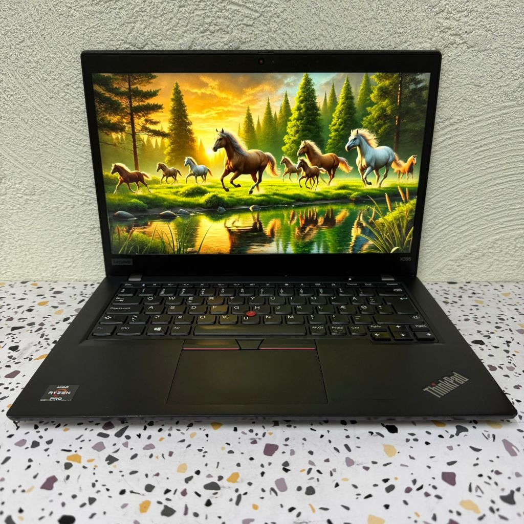 Lenovo Thinkpad T495 | Thinkpad T495s - Layar 14 Inch | VGA 2GB - Second Murah Bagus Bergaransi
