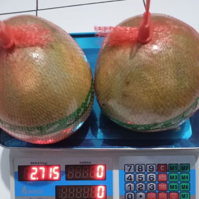 

Grosir Buah Segar Jeruk Pamelo Madu berat 2,7 kg isi 2 buah