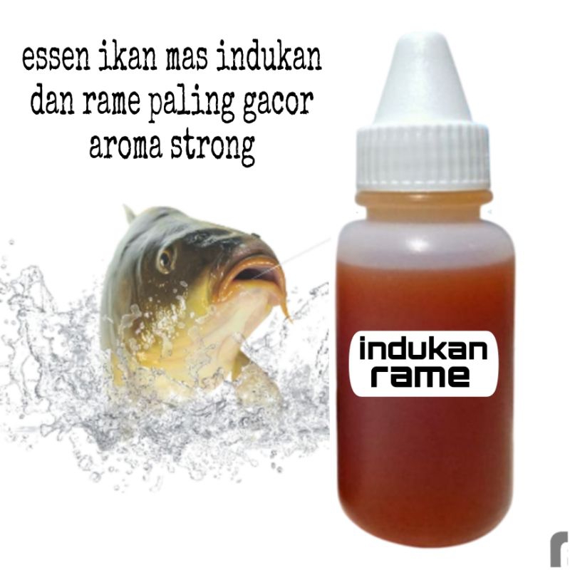 Essen Gacor Ikan MasEssen Ikan Mas Si GacorEssen Oplosan Ikan Mas GacorEssen Ikan Mas Gacor EsenEsse