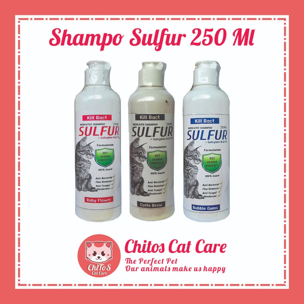 SHAMPO KUCING ANTI KUTU DAN JAMUR KILL BACT SHAMPO SULFUR 250 ML SAMPO KUCING ANTI JAMUR DAN KUTU