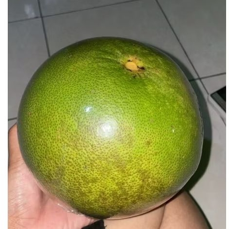 

Grosir Buah Segar Jeruk Pamelo Madu berat 4 Kg isi 4 buah