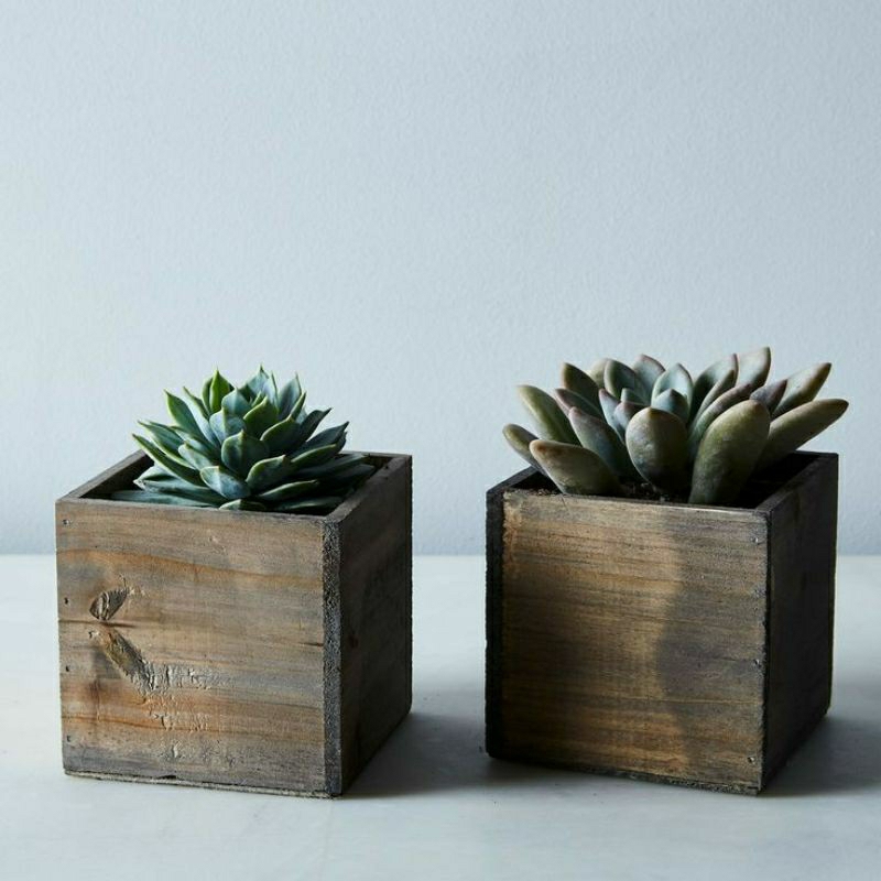 Pot Vas Bunga Mini / Pot kaktus ( 6x6x7cm ) Kayu Jati