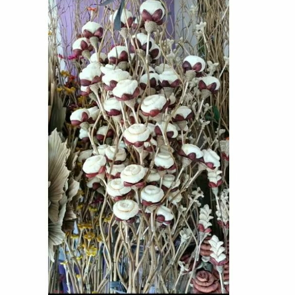 5 BATANG BAMBU ULIR BUNGA GELUNG KLOBOT