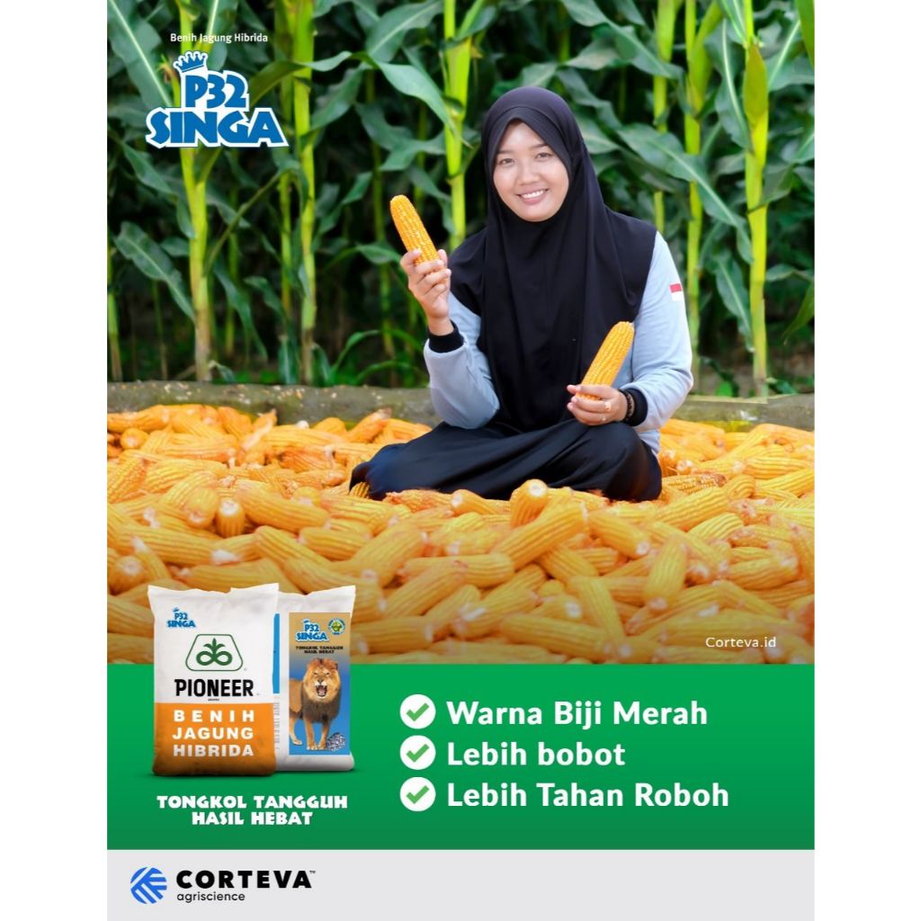 

P32 SINGA - 1KG