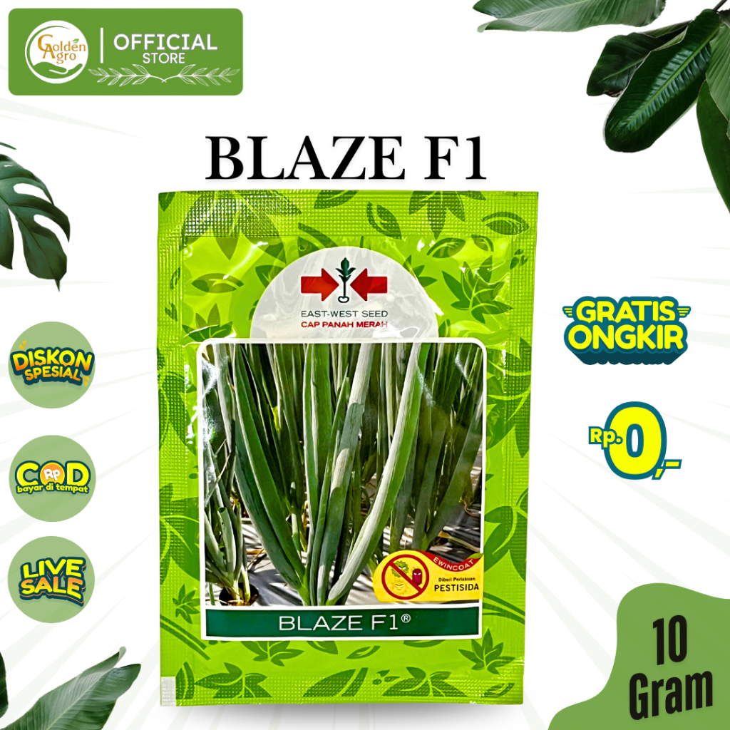 BENIH BIBIT DAUN BAWANG BLAZE 10GR